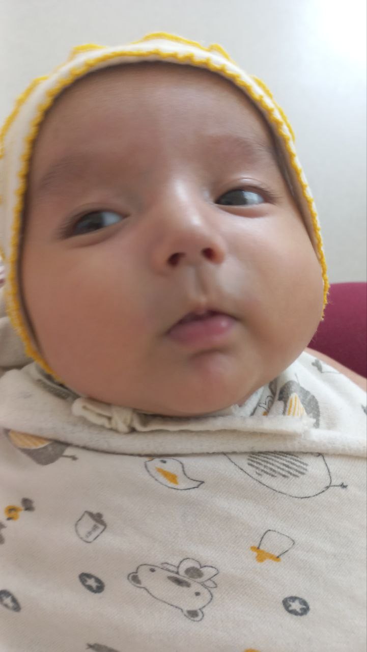 코너브루 이미지