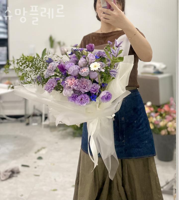 슈망플레르 이미지