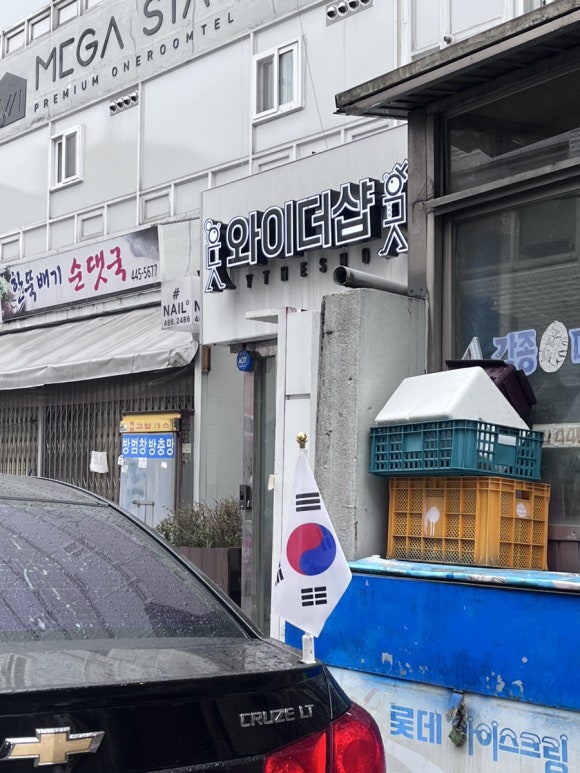 핑크펑크드 이미지
