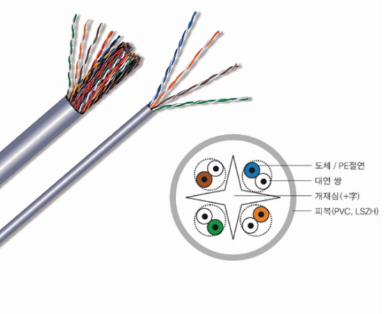 원텐 이미지