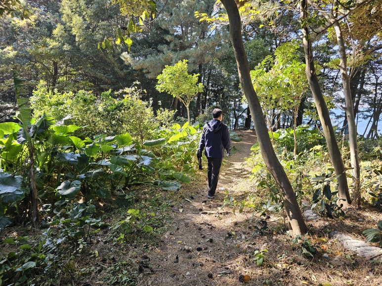 소꿉천지 이미지