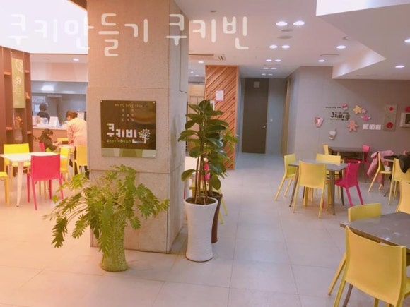 쿠키빈 이미지