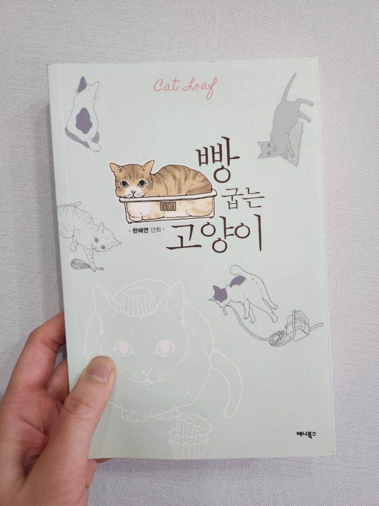 빵굽는고양이 이미지