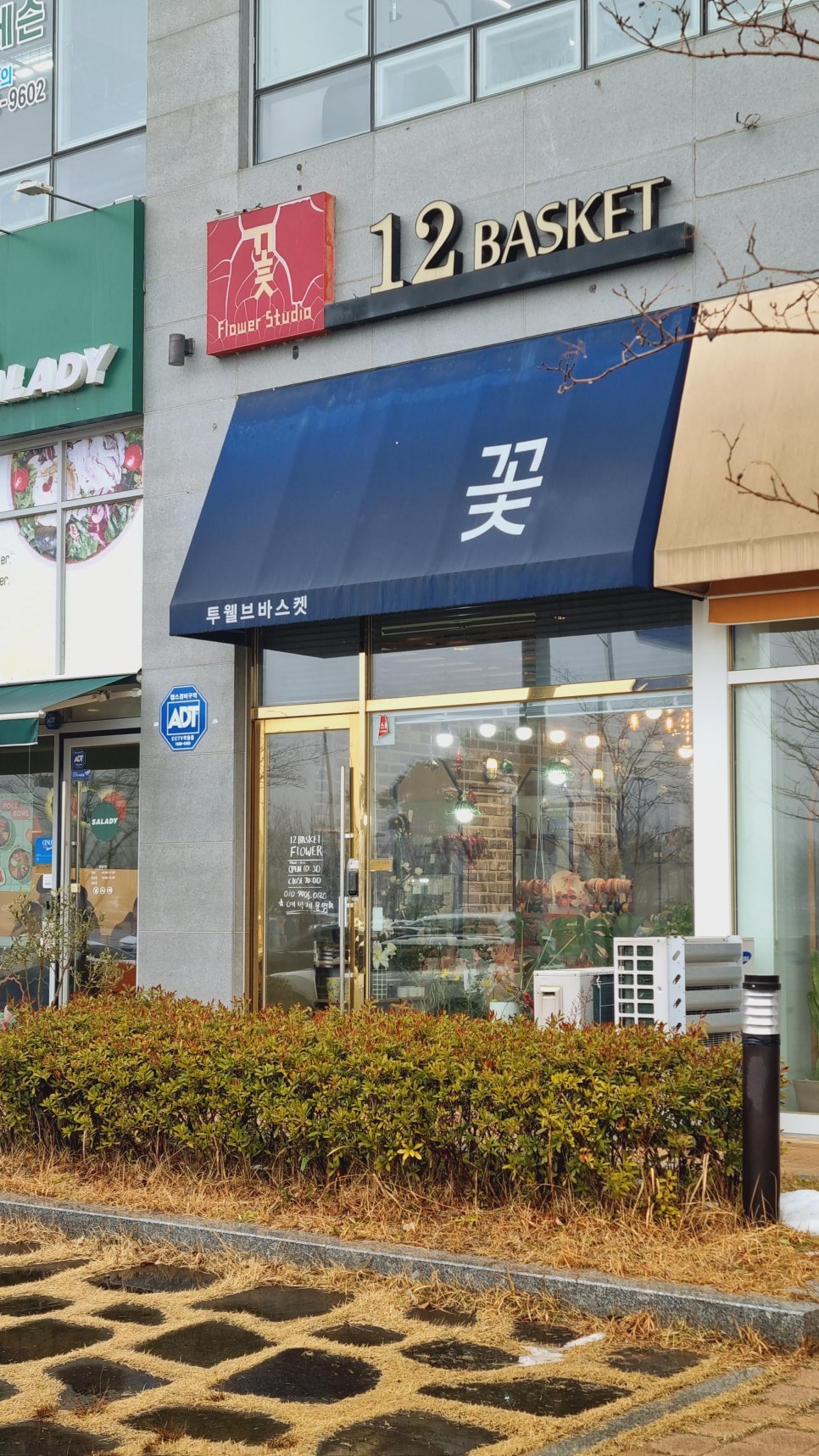 투웰브바스켓 이미지