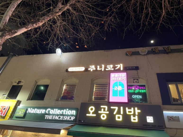 주니코기 이미지