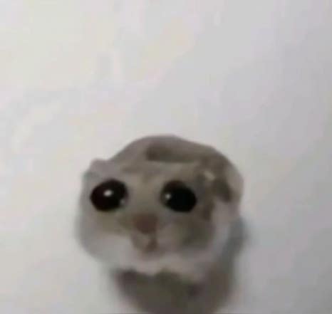 고혼 이미지