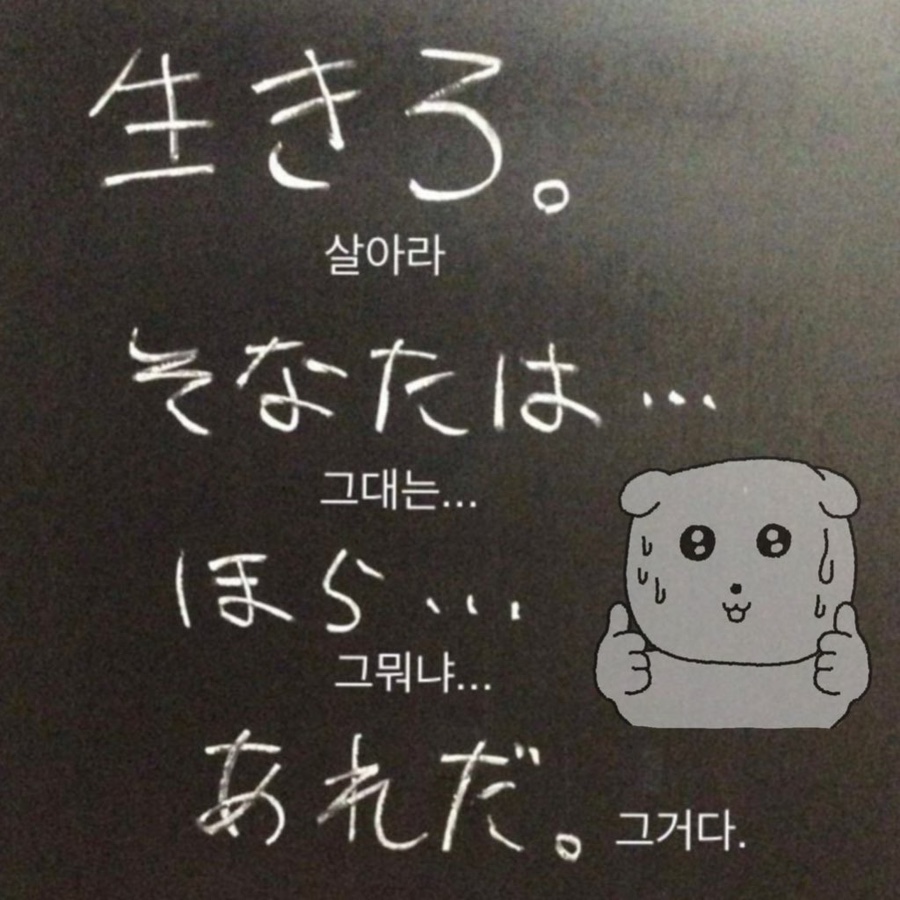 수투 이미지