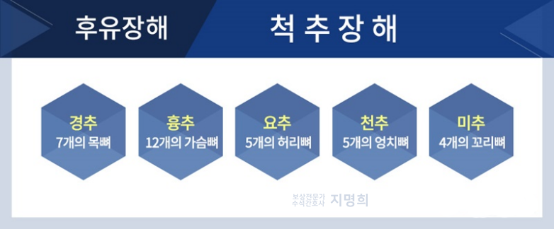 후유 이미지