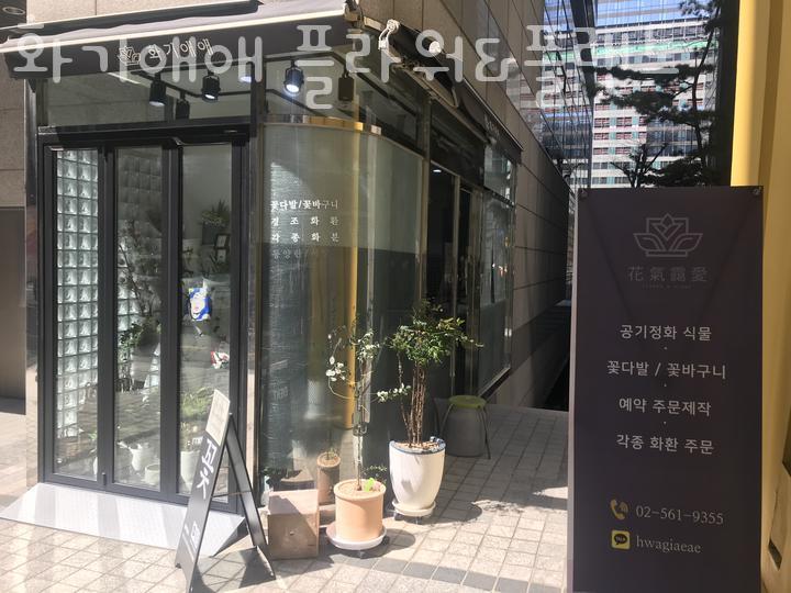 화기애애 플라워&플랜트 이미지