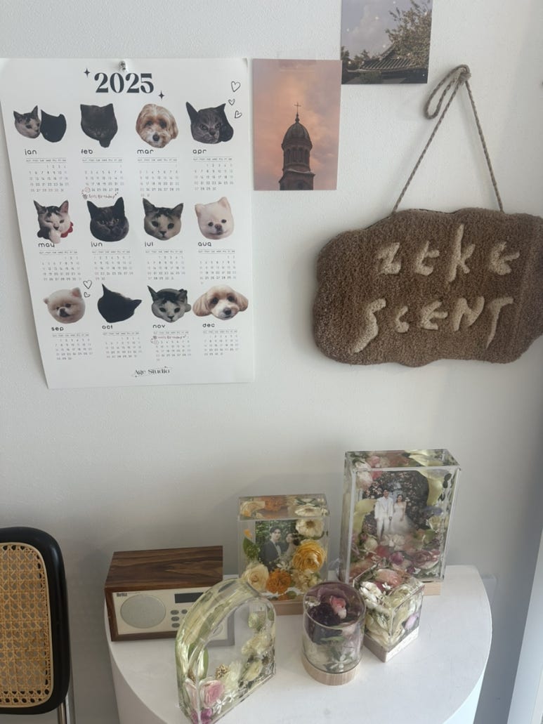 지크센트 이미지