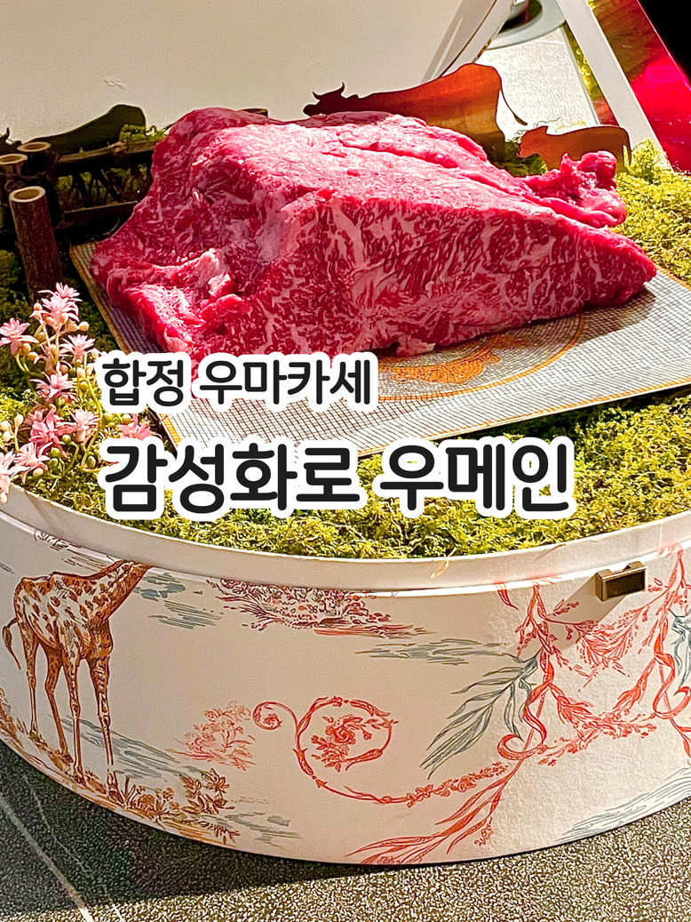 감성화로우메인 이미지
