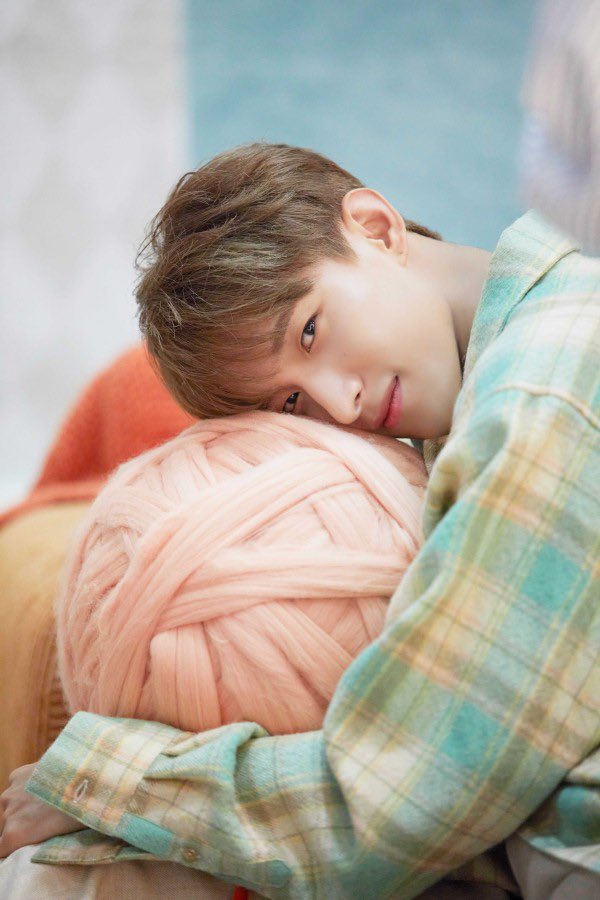 아이노 이미지