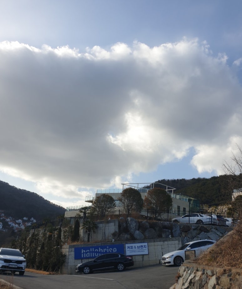 할로브리즈 이미지