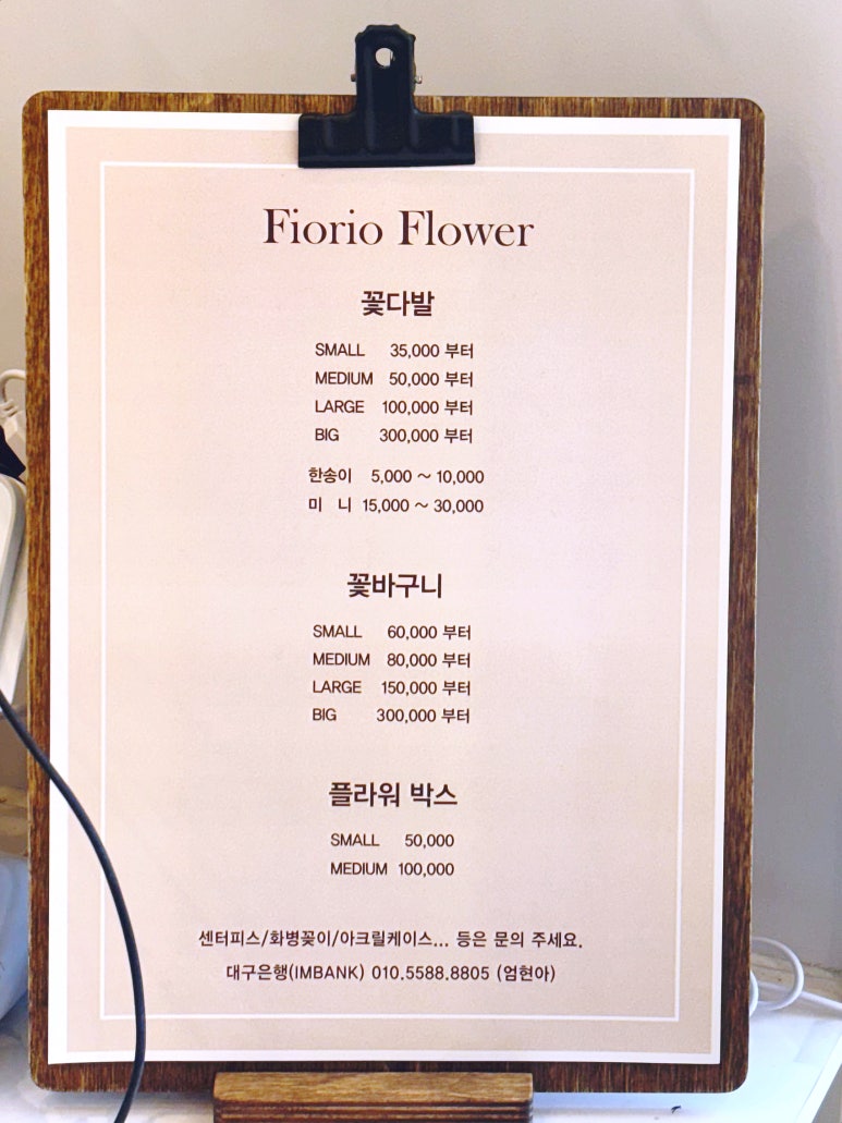 피오리오 이미지