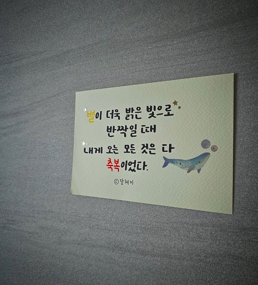별이주는밤 이미지