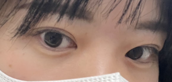 네일쿠모 이미지