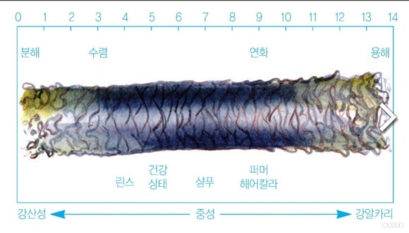 씨엘헤어 김포고촌점 이미지