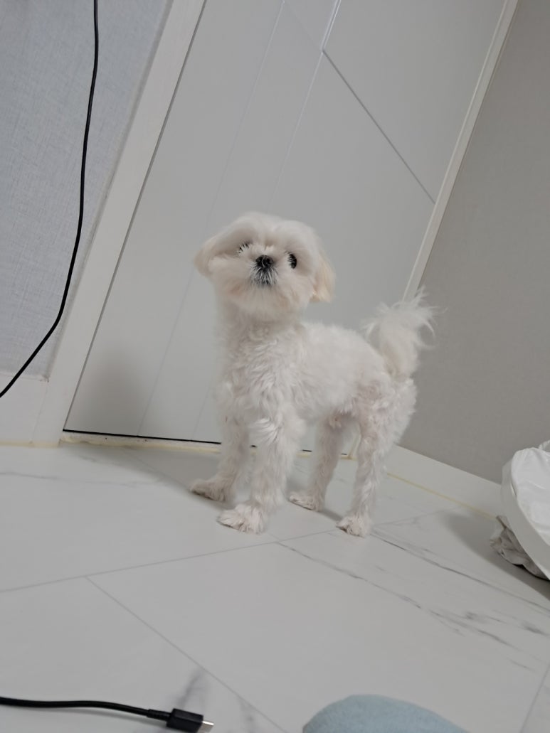 딸랑분식 이미지