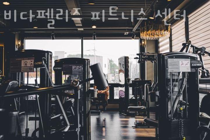 비다펠리즈 이미지