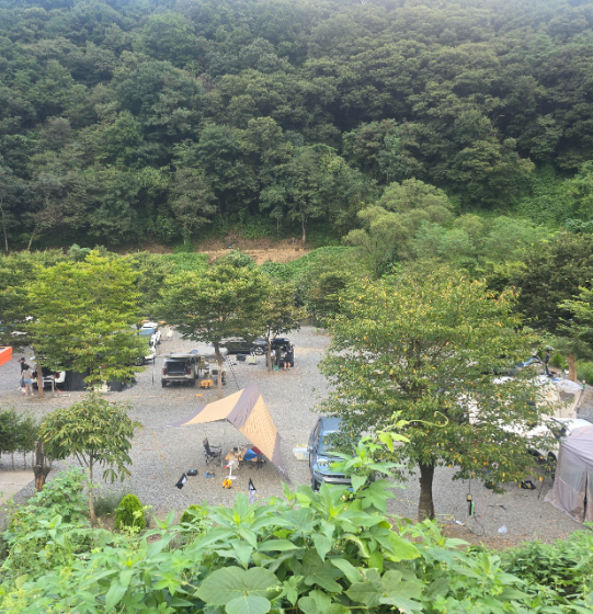 둥지캠핑장 이미지