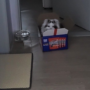 메가혼밥 이미지