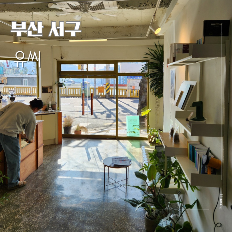카페씨 이미지