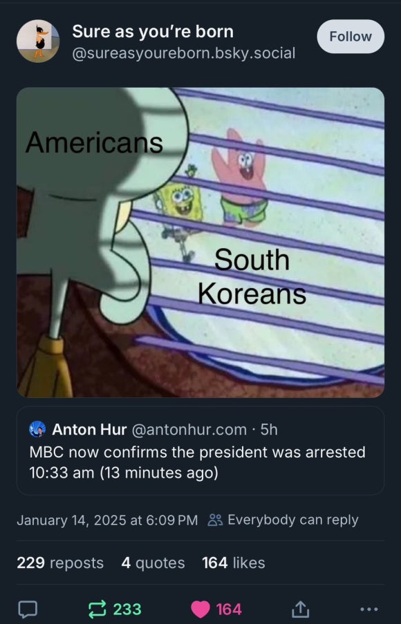 고양이투어 이미지
