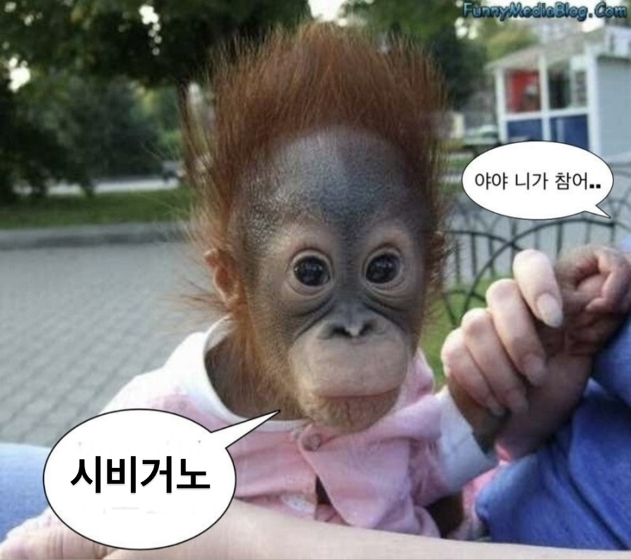조각집 이미지