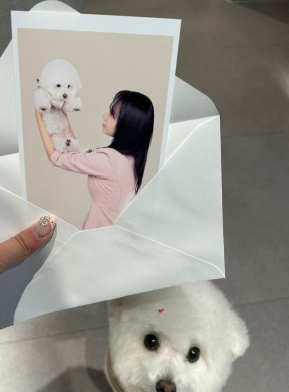 에이프레임스튜디오 이미지