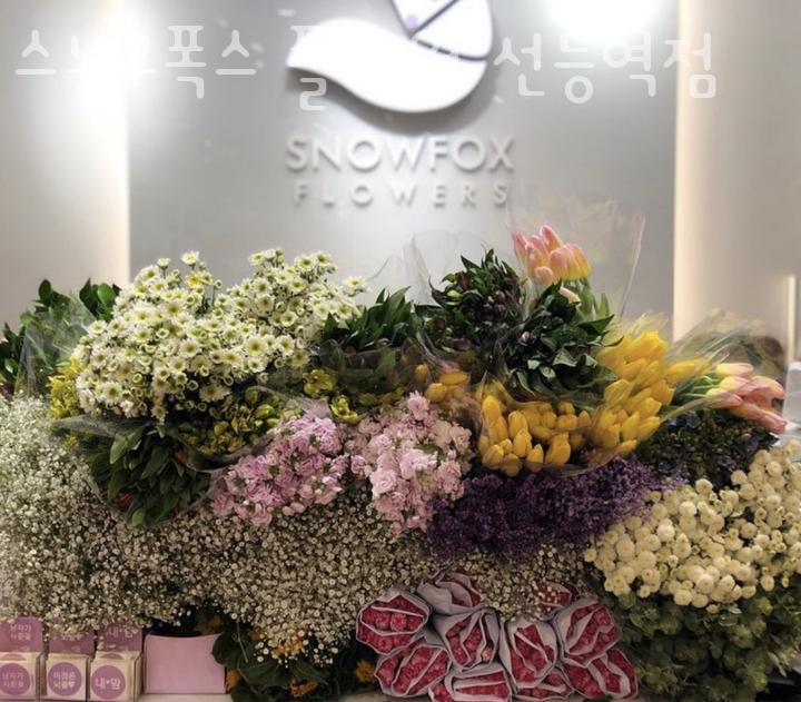 스노우폭스플라워 이미지