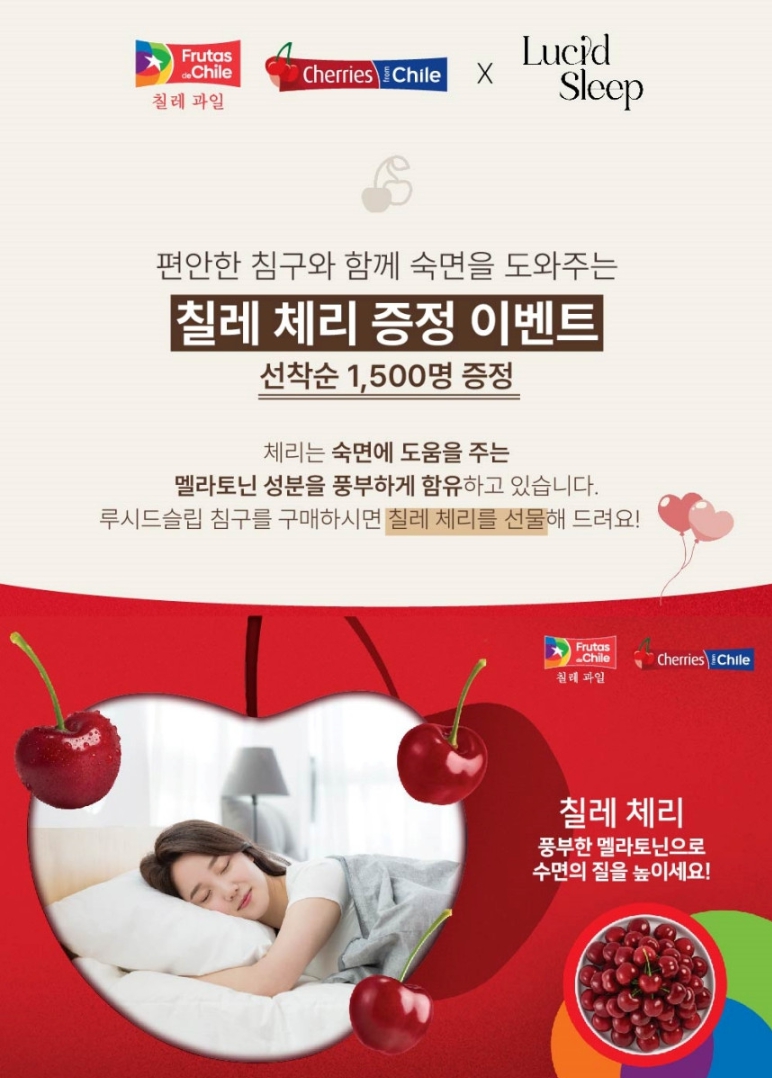 루시드슬립 이미지