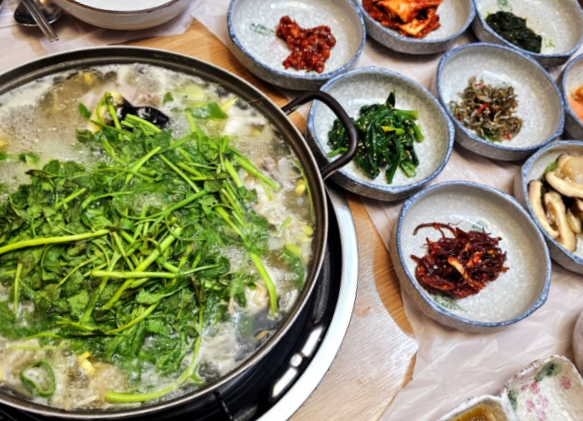 평화복어 이미지
