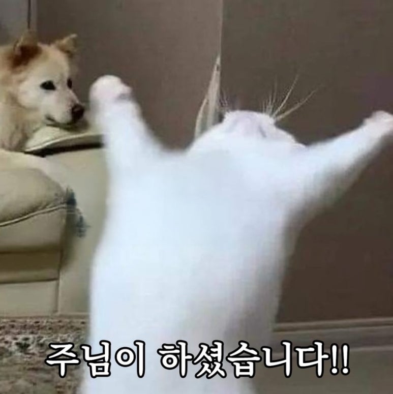 (주)오늘 이미지