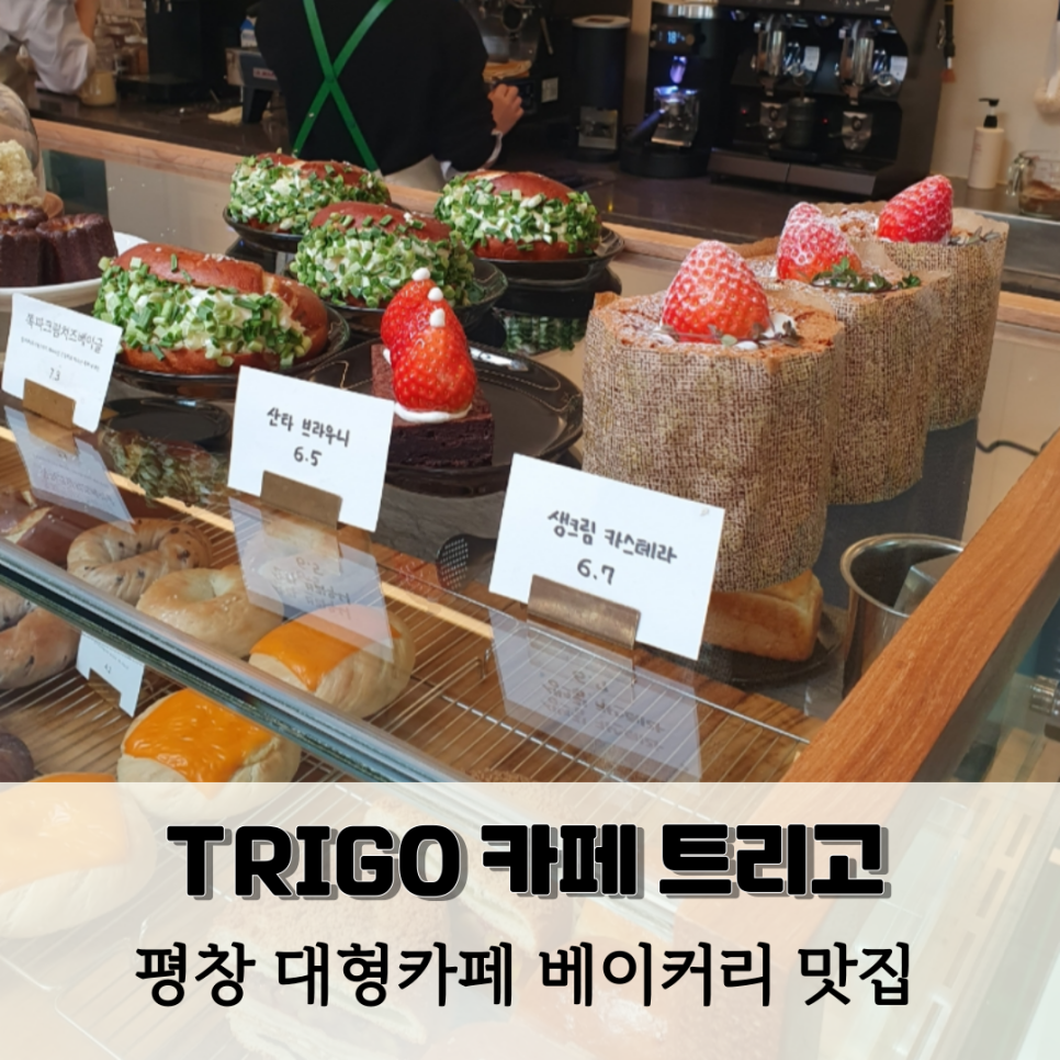 트리고(trigo) 이미지