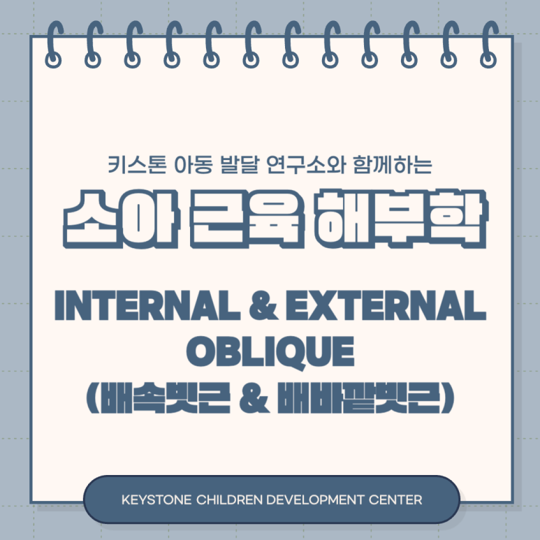 키스톤아동발달연구소 이미지