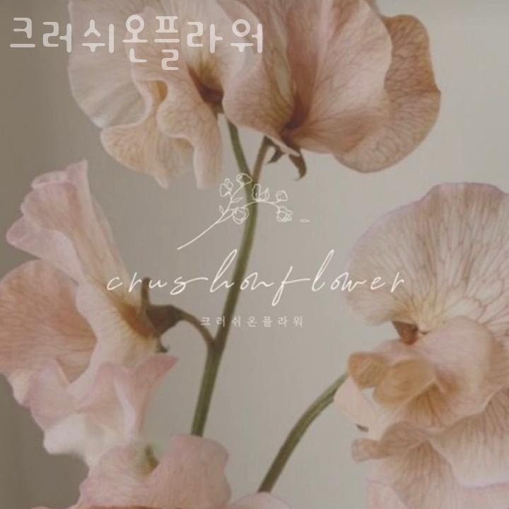크러쉬온 이미지