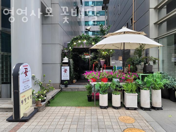 영영사모꽃배달 이미지