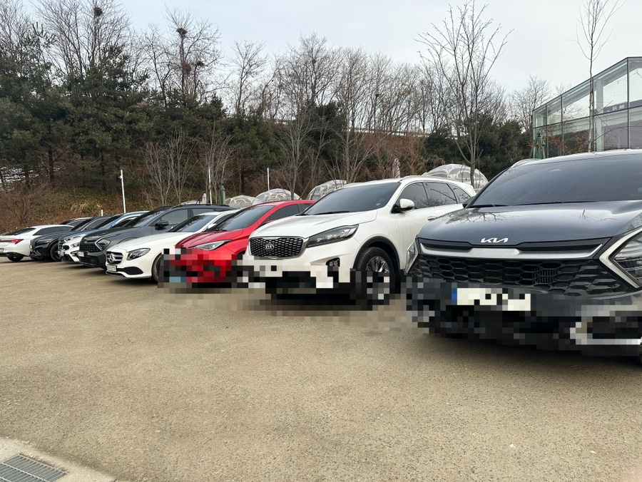 동탄애견카페 카페사개, 넓은 운동장과 편리한 주차 — 사진 2