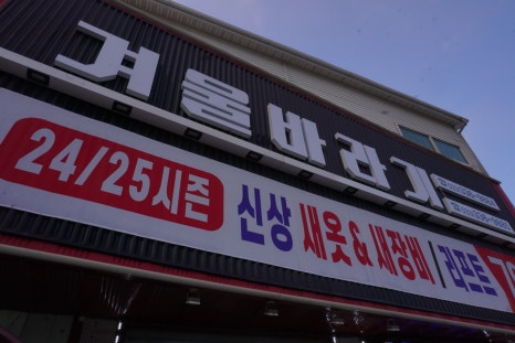 겨울바라기AC 이미지