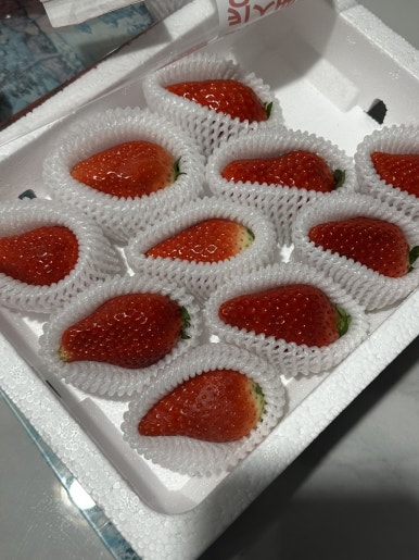 파머스포케청주 이미지