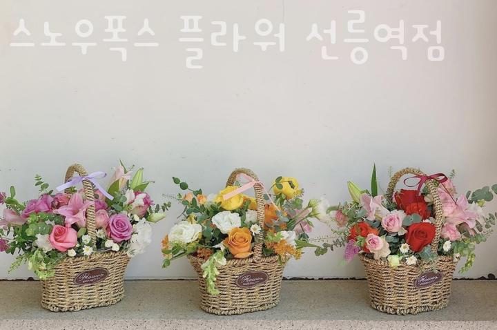 스노우폭스플라워 이미지