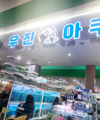 물고기오빠 이미지