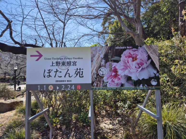 단정원 이미지