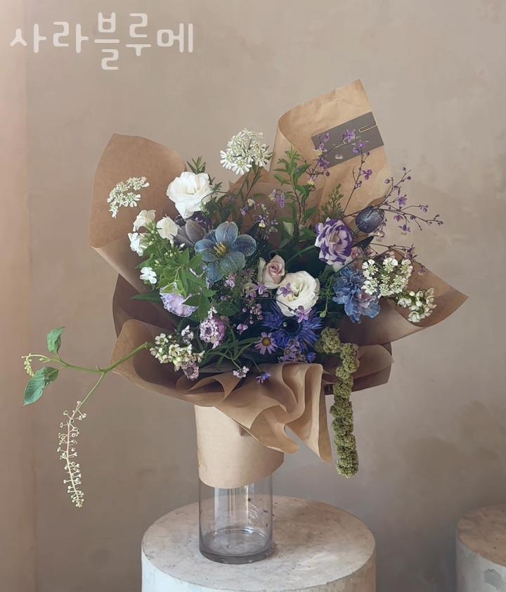 사라블루메 이미지