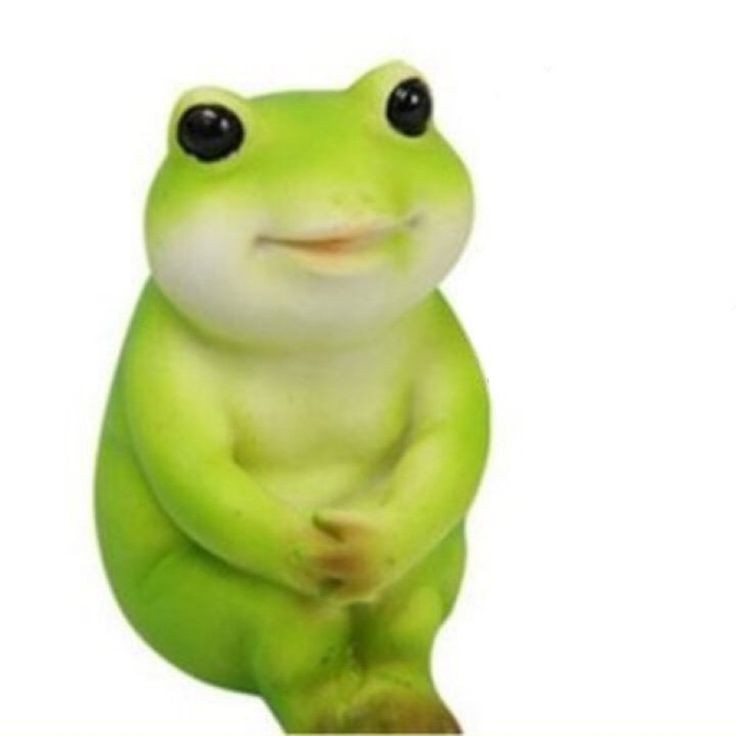 미다 이미지