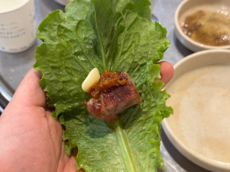 양지주먹고기 이미지
