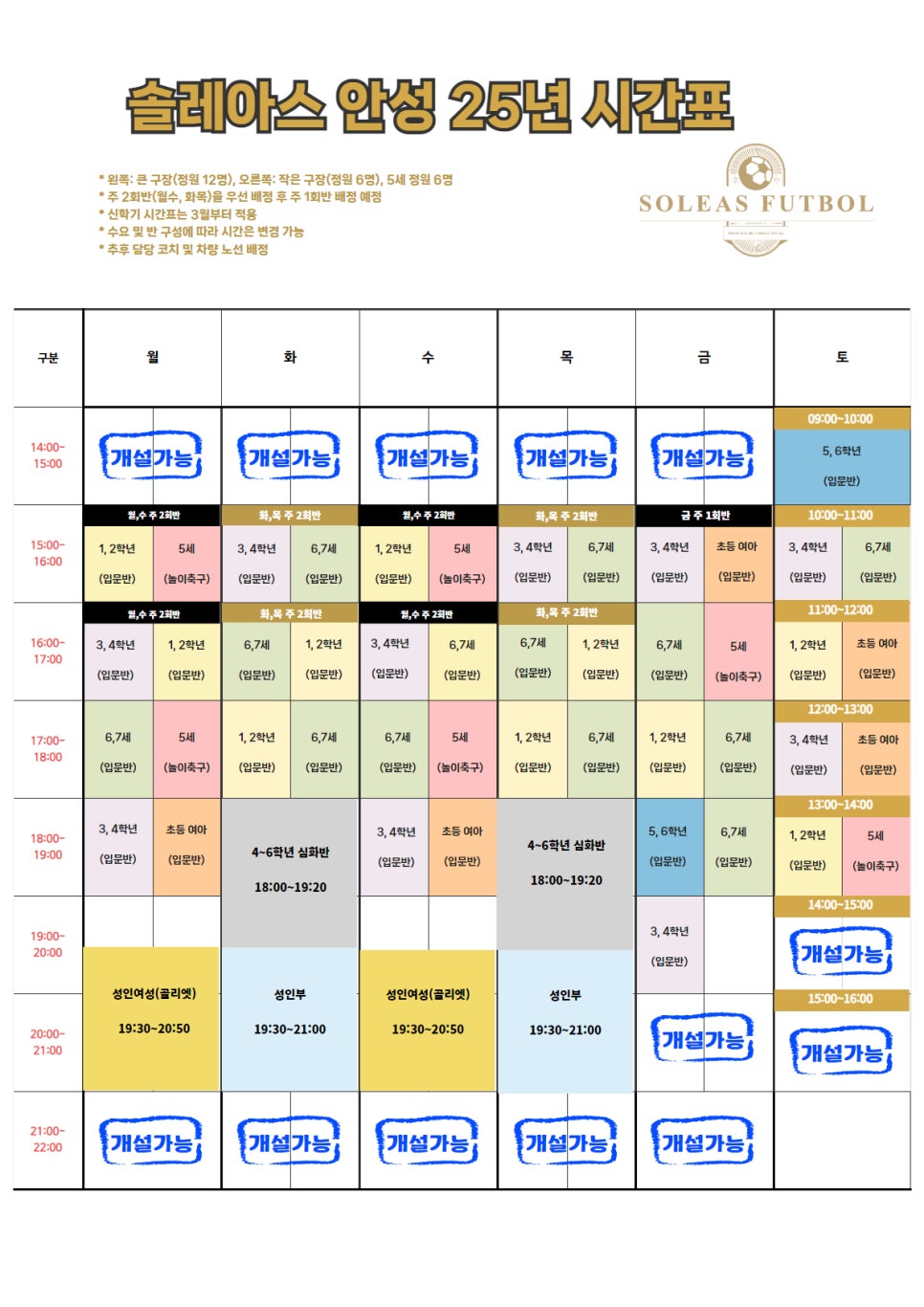 솔레아스풋볼안성 이미지