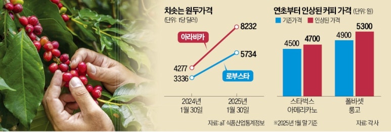 원스커피 이미지