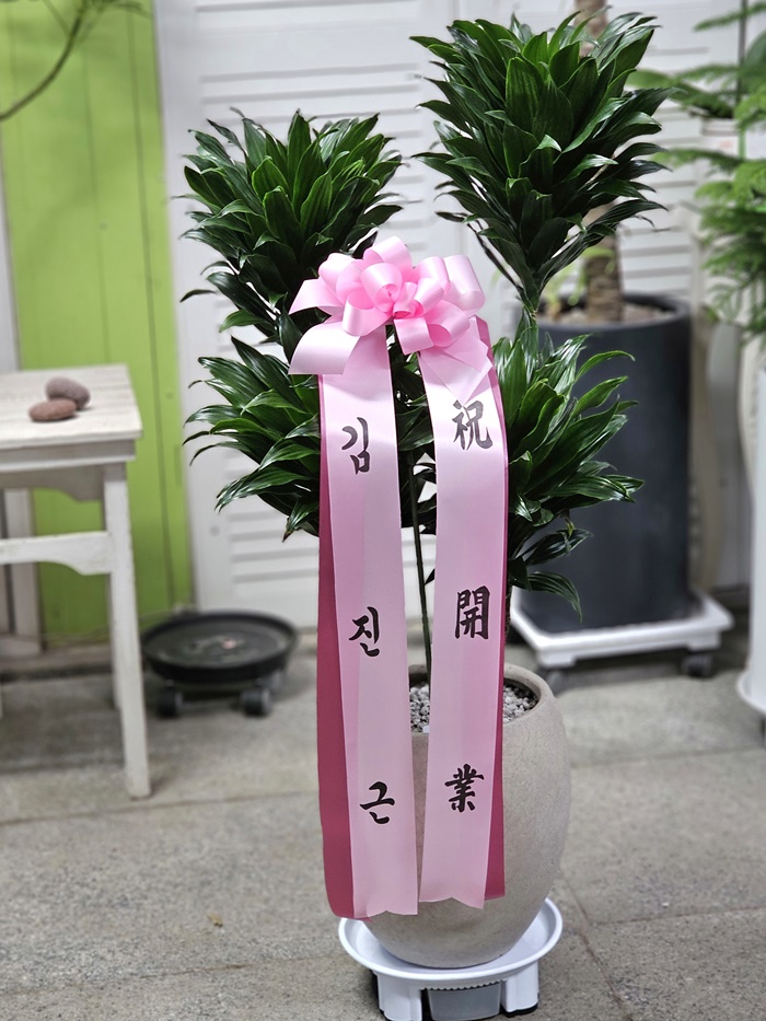 광명화원 이미지