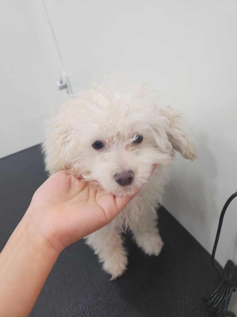 보리미용실 이미지